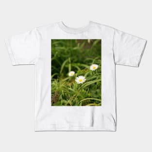 Oxeye Daisy - Moon Daisy flowers Kids T-Shirt